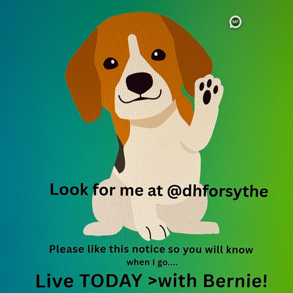 Like this listing to Join Bernie and Me……This Friday - May 8th at 6:30 EST!!!